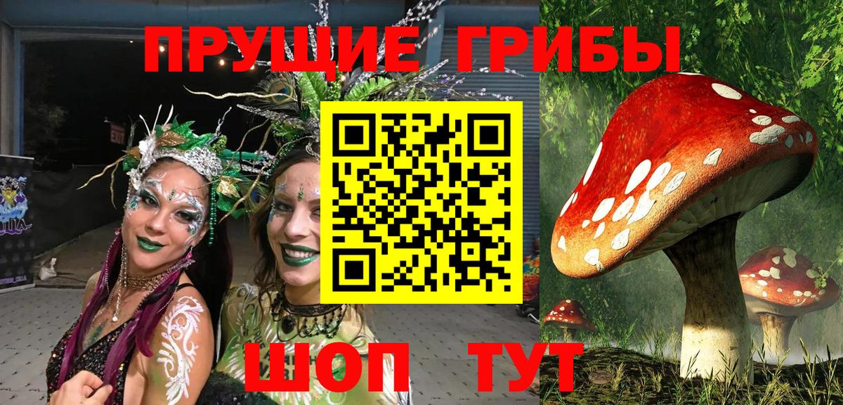 Галлюциногенные грибы Cubensis Ростов Великий